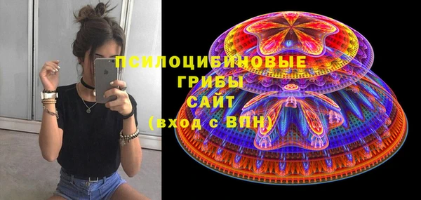 бутик Бородино