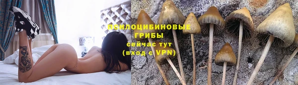 СК Верхний Тагил